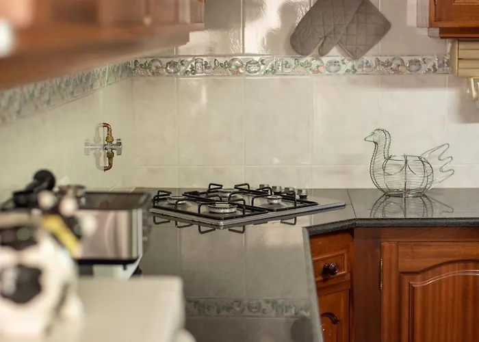 Casa Gabriel Barbosa *